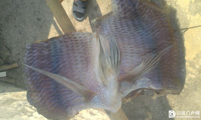 IMG_20131205_131526.jpg