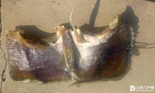 IMG_20131205_131533.jpg